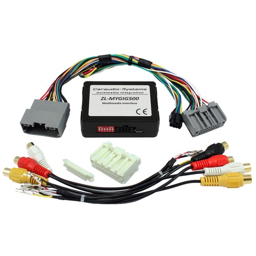 Cas rückfahrkamera interface - cas,