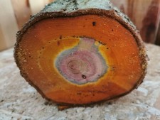 Pflaume Drechselholz 25×13 cm