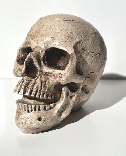 Totenschädel totenkopf - totenschädel,