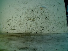 MOTOR ENGINE Volkswagen Golf