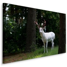 CANVAS Leinwand Bilder XXL