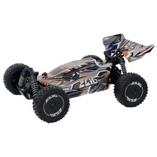 DF-Models 3133 Z06 Light Buggy