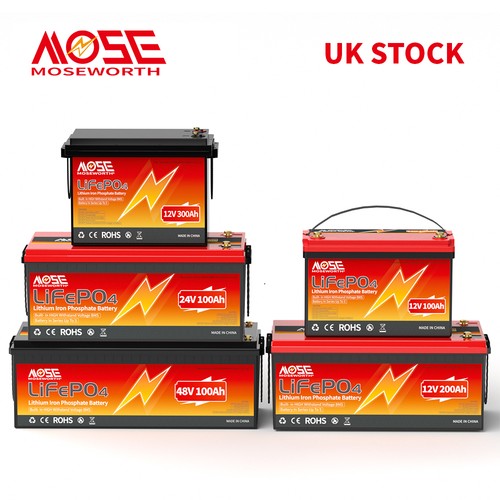 12v 24v lifepo4 - 24v,