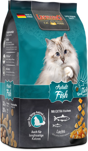 Leonardo adult fish - leonardo,