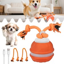 Interaktiver Spielball