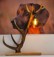 Rustikale Geweihlampe auf