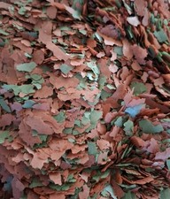 Cichliden flockenfutter - flockenfutter, 46,5%
