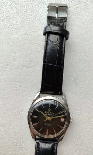 Darwil inox rubis swiss - inox,