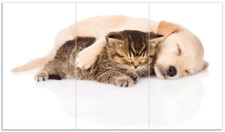 Wallario Herdabdeckplatte