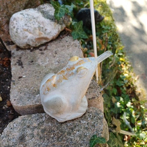 Frosch wasserspeier beton - frosch,