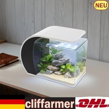 Kleines Glas-Aquarium