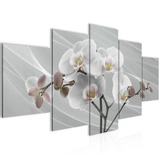 Wandbilder Wohnzimmer XXL Blumen Orchidee Moderne Bild Natur