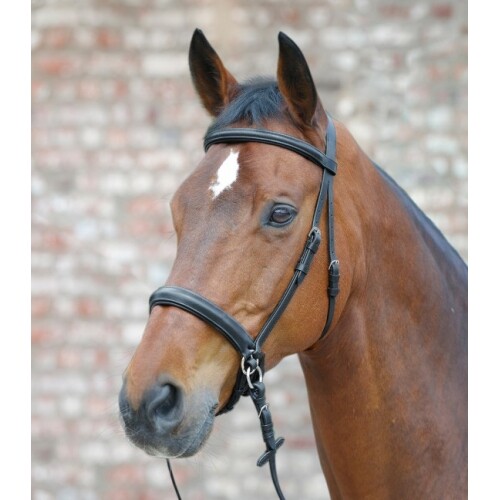 Star bitless trense scawbrig - star,