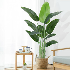 Keeplush Künstliche Paradiesvogel Pflanze Groß 150Cm Künstliche Tropische Palme 
