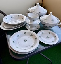 Tafelservice 10 Personen Stadtlengsfeld grüne Rose aus dem Jahr 1965 