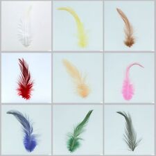 16 Hahnenfedern ca. 10 cm lang in 9 verschiedenen Farben von Knorr prandell NEU