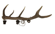Hirschgeweih Abwurfstange Geweihstange ehem. Geweihlampe  Jagd 84 cm  2,6 kg