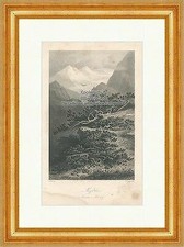 Legföhre Latschenkiefer Krummholz Knieholz Bergkiefer Der Wald Originale 003