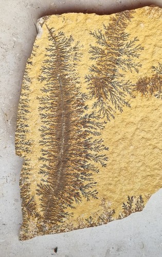 Mineralien solnhofen platte - mineralien,