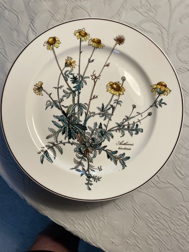 Villeroy boch teller - villeroy, &