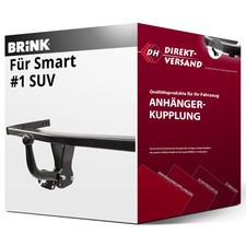 Für Smart #1 SUV (Brink)