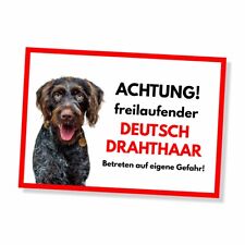 Deutsch Drahthaar