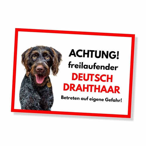 Deutsch drahthaar - deutsch,