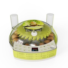 Inkubator brutkasten - inkubator,