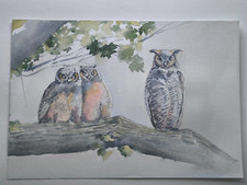 Aquarell Bild. Eulen Familie. Vögel. Tiere. Größe ca 18x27 cm