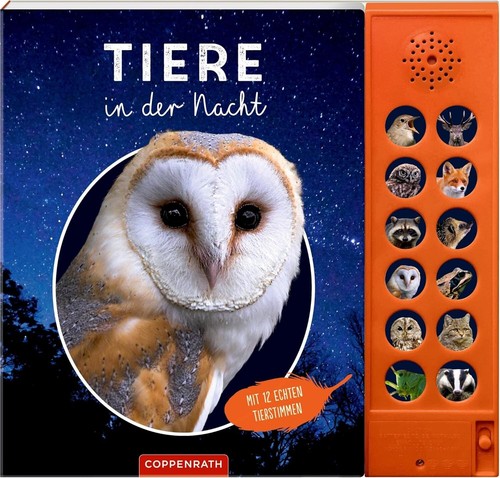 Tiere der nacht soundbuch - in,