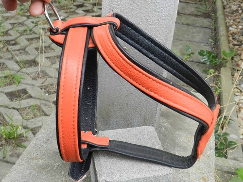 Hundegeschirr leder 60cm - leder,