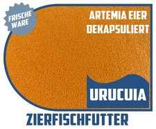 Artemia Eier dekapsuliert