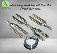 Giant Tuning (DnA Key) mit