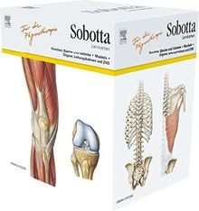 Sobotta lernkarten für - lernkarten,