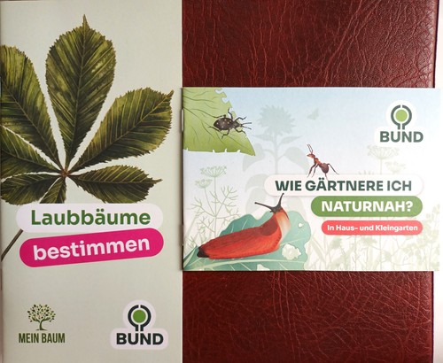 Laubbäume bestimmen - , u