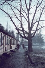 Orig. FARBDIA Foto RAD