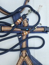 Tauleine Leine Tau zu Anny X Blaubeere