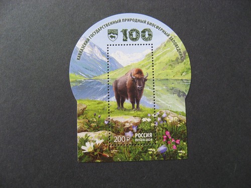 Russland 2024 postfrisch - 2024,