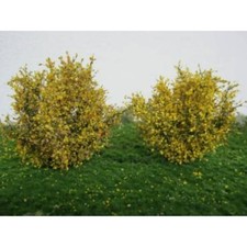 Büsche Spätherbst Profiline