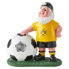 Borussia Dortmund BVB
