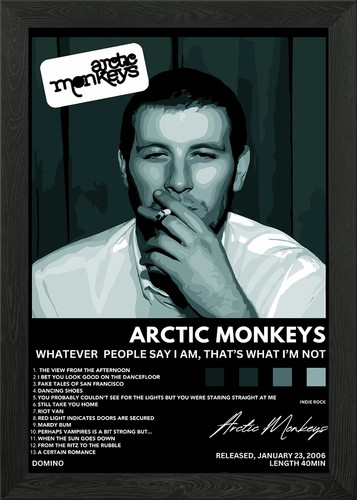 Arctic monkeys album cover - arctic,
