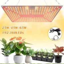 Pflanzenlampe für