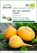 Saflax 18712 Kohlrabi Goldana (Bio-Kohlrabisamen)