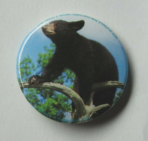 Bär bärenbaby schwarzbär - bÄr,