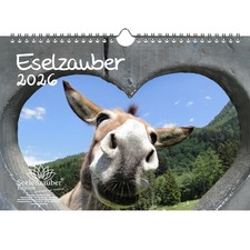 Eselzauber DIN A4 Kalender