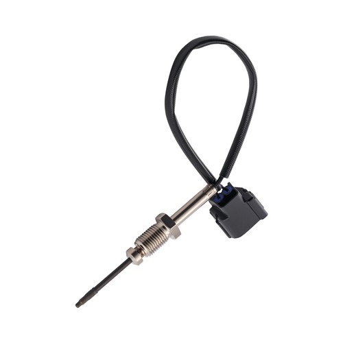 Abgastemperatursensor for