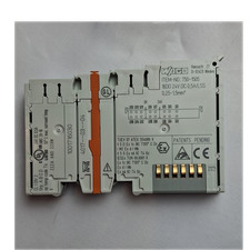 WAGO SPS Ausgangsmodul