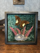 Schmetterling gerahmt - , an