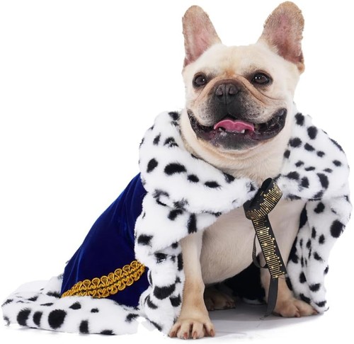 Umhang hund katze halloween - hund,