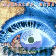 Insight von Chroming Rose | CD | Zustand sehr gut
